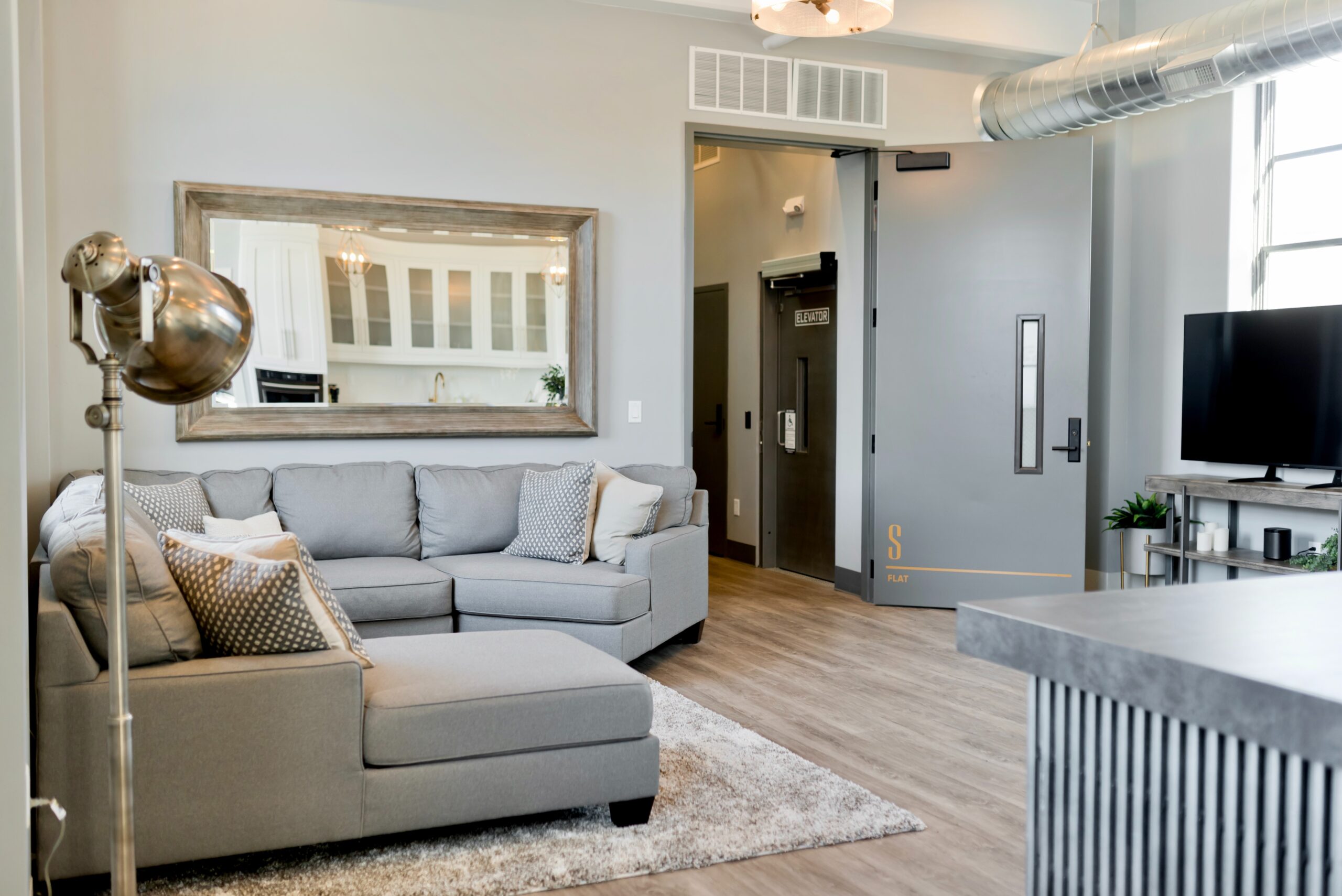 Bright living room with a grey sofa