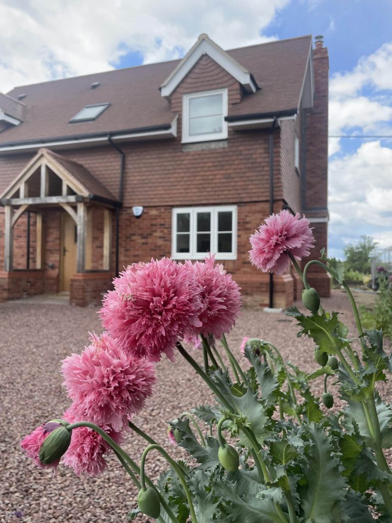 Brick house with pink dahlias in the front garden