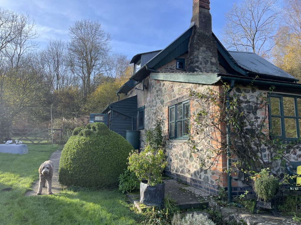 Stone cottage with a dog in the garden