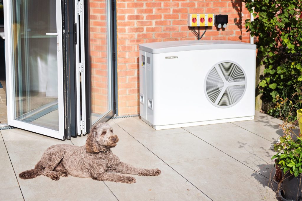 Olive the dog lying on a patio beside a Stiebel Eltron heat pump